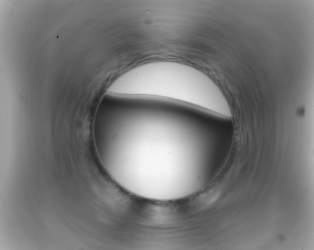 X0000092040466200709121008
