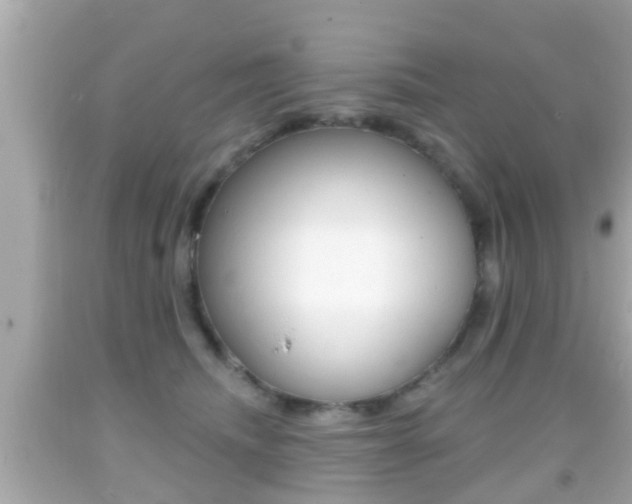 X0000092040468200709121008