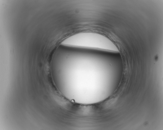 X0000092040469200709121008