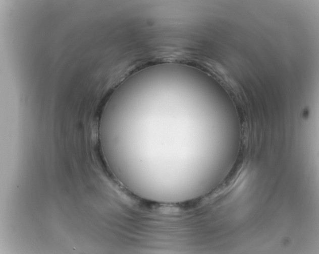X0000092040471200709121008