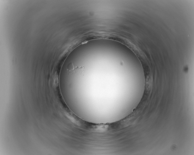 X0000092040474200709121008
