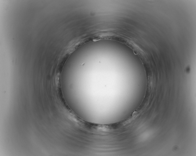 X0000092040475200709121009