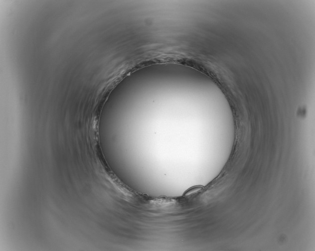 X0000092040480200709121009