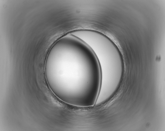 X0000092040481200709121008