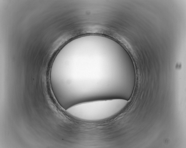 X0000092040482200709121008