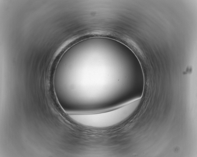 X0000092040484200709121008