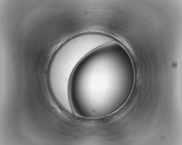 X0000092040485200709121008