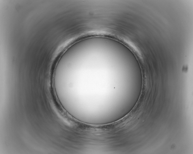 X0000092040486200709121008