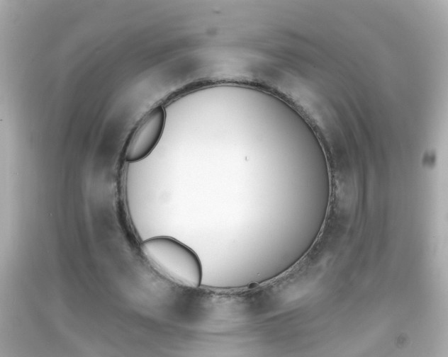 X0000092040487200709121008