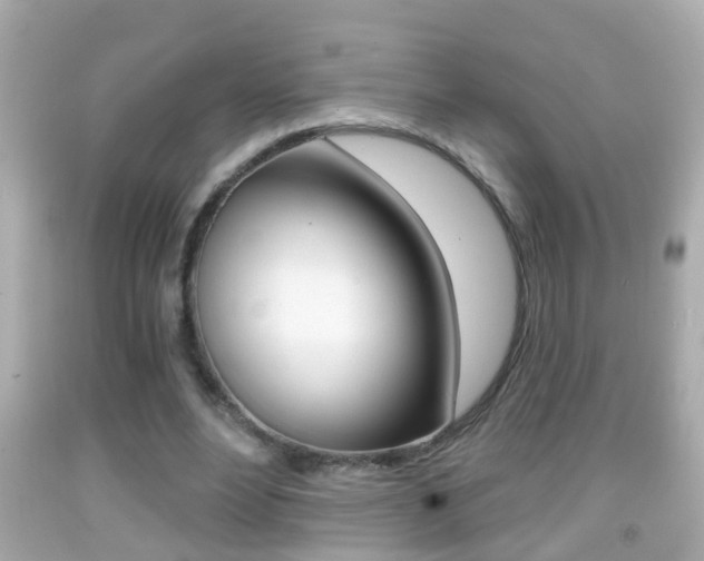 X0000092040488200709121008