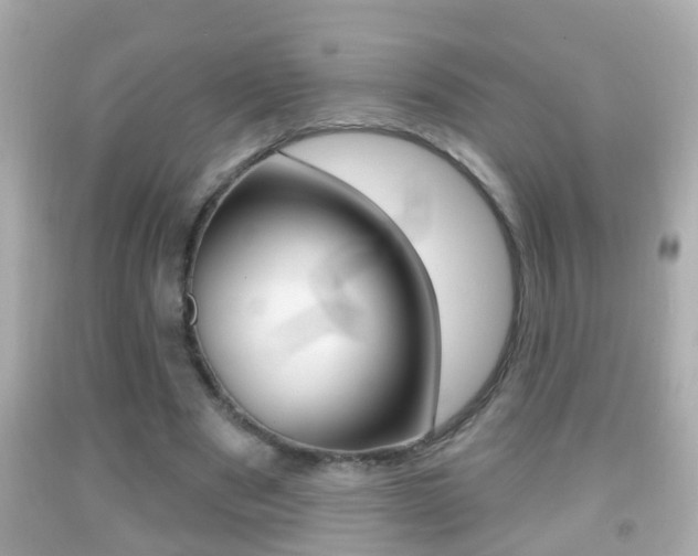 X0000092040489200709121008