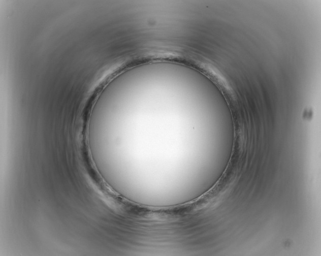 X0000092040490200709121008