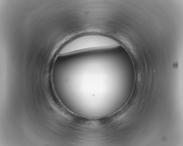 X0000092040492200709121008