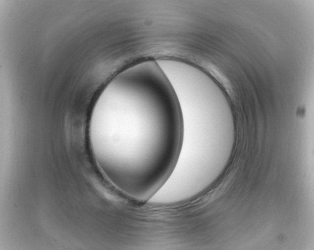 X0000092040493200709121008