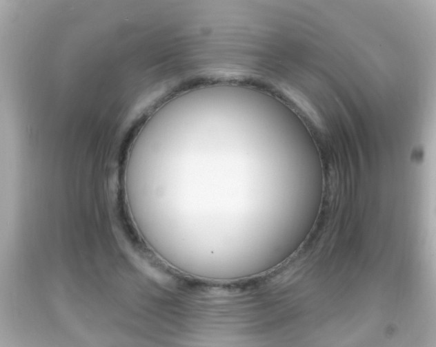 X0000092040494200709121008