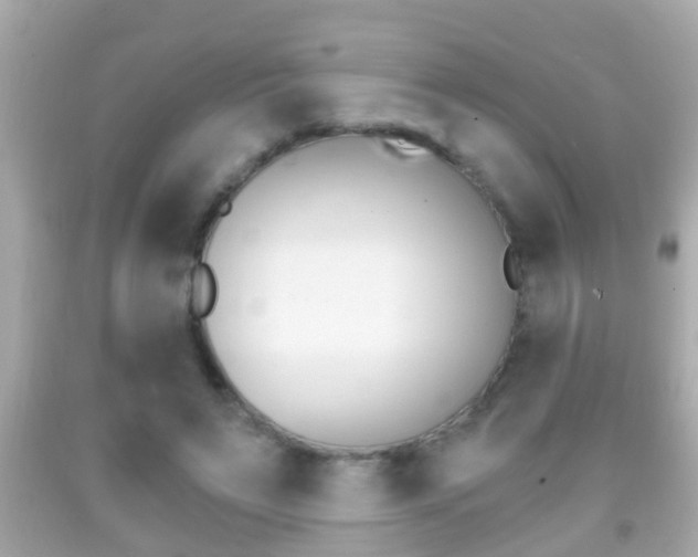 X0000092040495200709121008