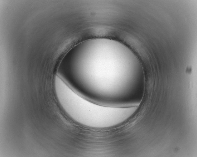 X0000092040497200709121008