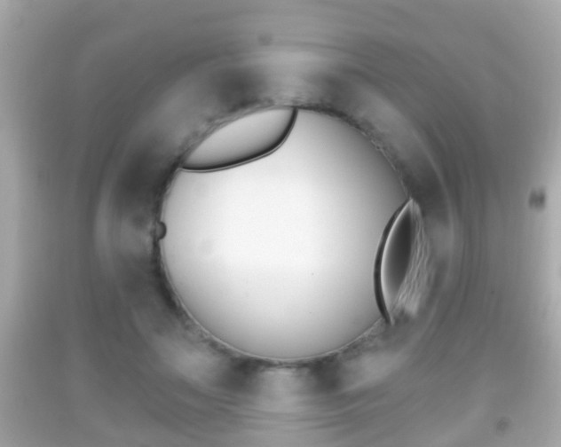 X0000092040499200709121008