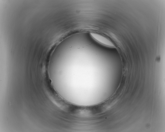 X0000092040500200709121008