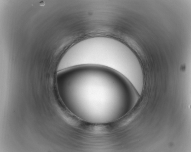 X0000092040501200709121008