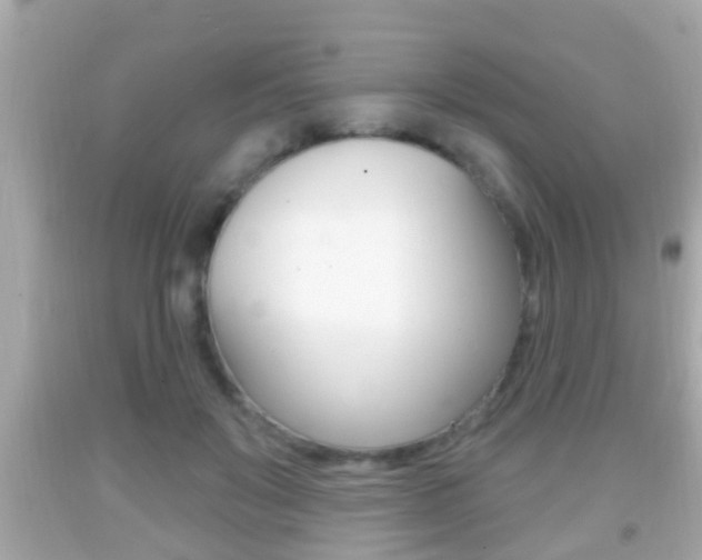 X0000092040503200709121008