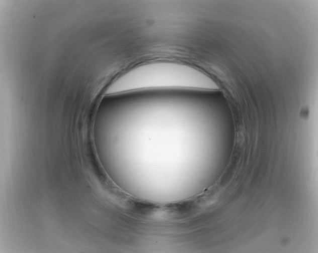 X0000092040504200709121008