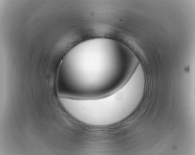 X0000092040505200709121008
