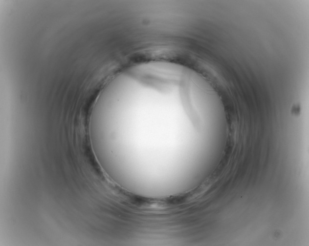X0000092040506200709121008