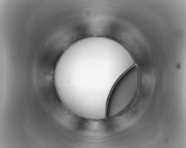X0000092040507200709121008