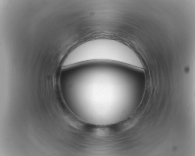 X0000092040508200709121008