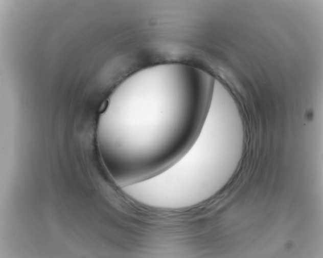 X0000092040509200709121008