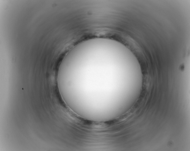 X0000092040510200709121008