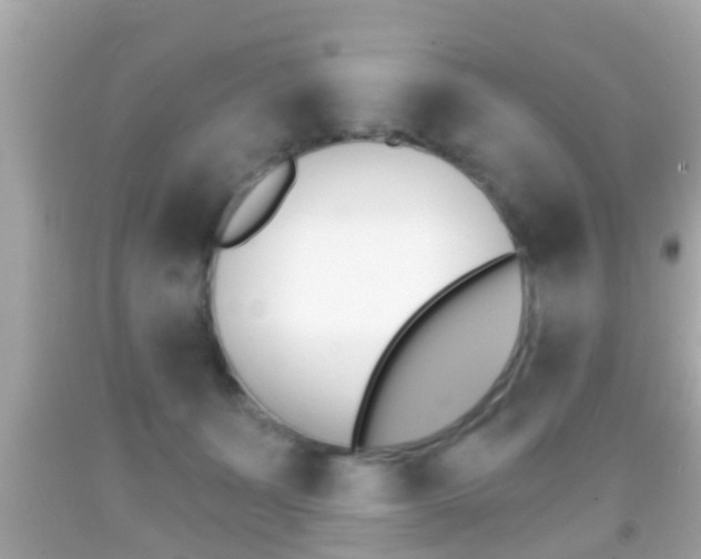 X0000092040511200709121008