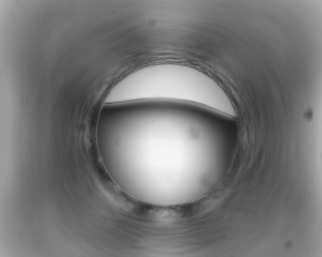 X0000092040512200709121008