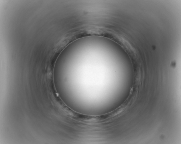 X0000092040513200709121008