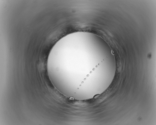 X0000092040515200709121008