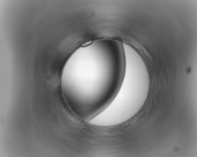 X0000092040517200709121008