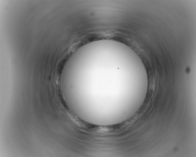 X0000092040518200709121008