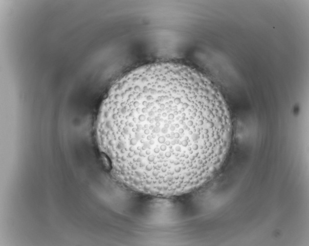 X0000092040519200709121007