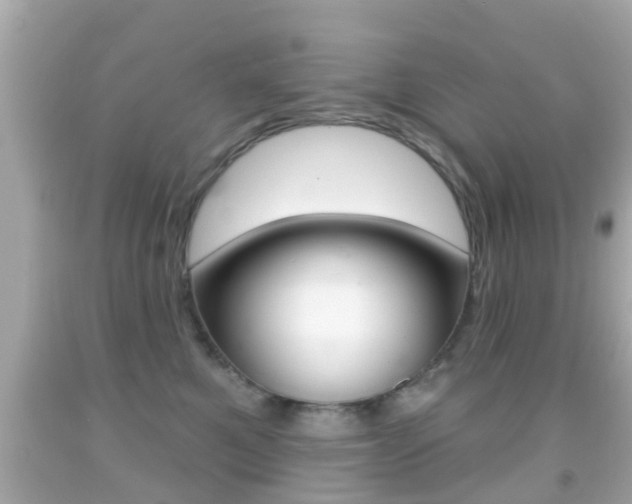 X0000092040521200709121007