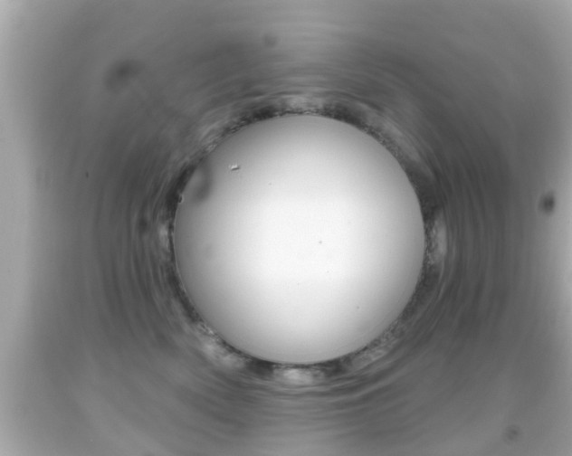 X0000092040522200709121007