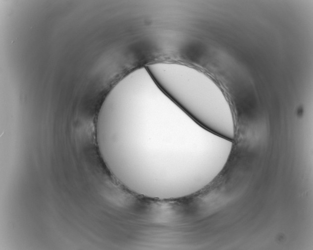 X0000092040523200709121007