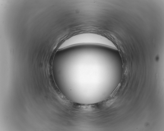 X0000092040524200709121007