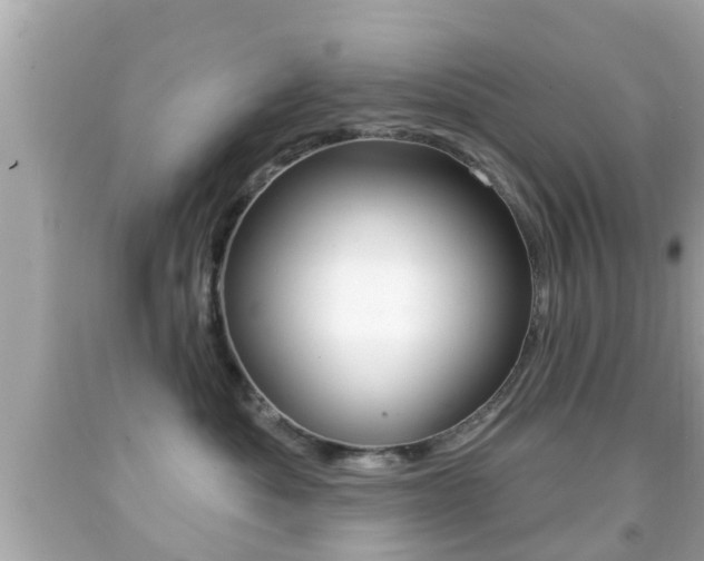 X0000092040525200709121007