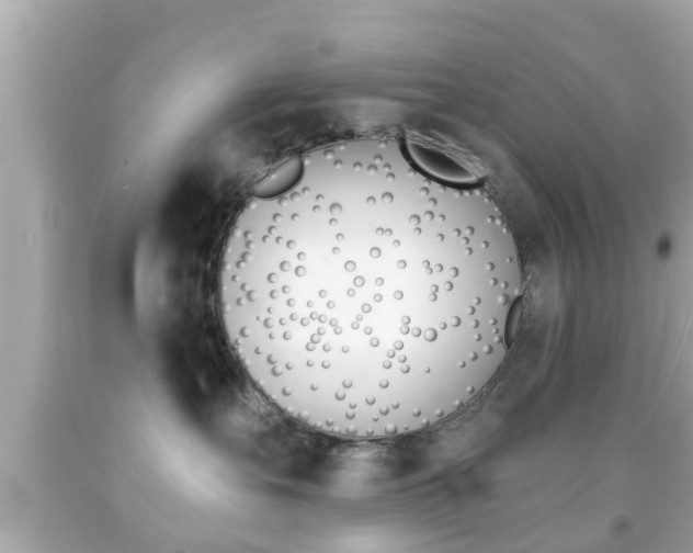 X0000092040527200709121007