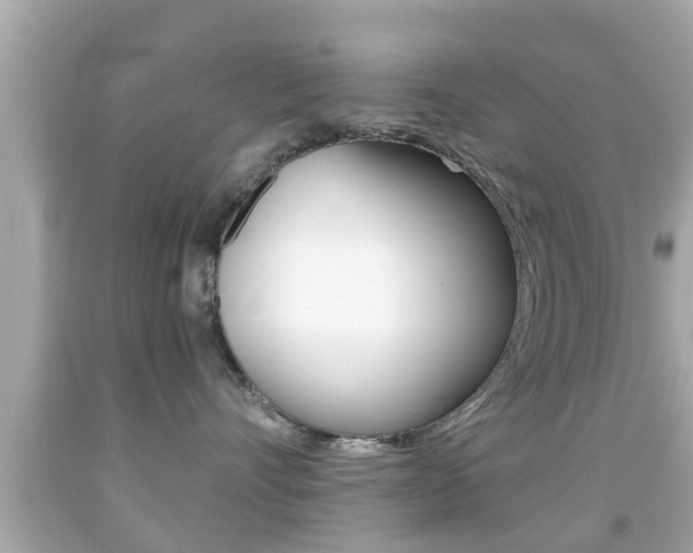 X0000092040528200709121007