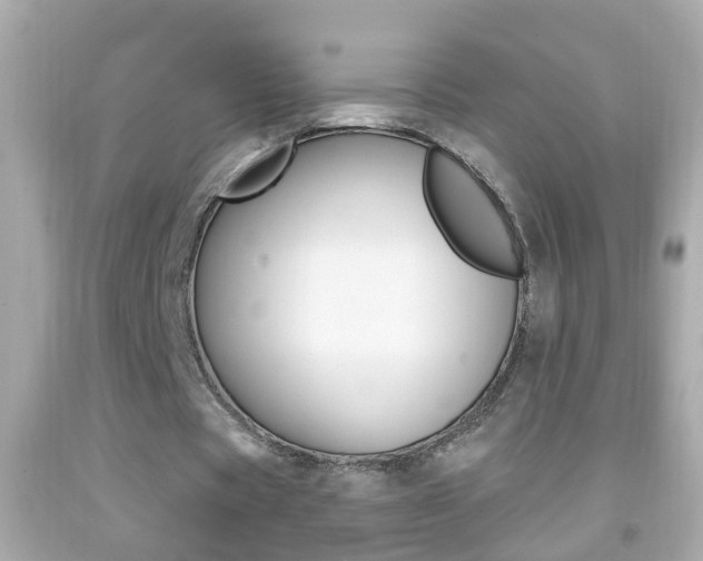 X0000092040529200709121007