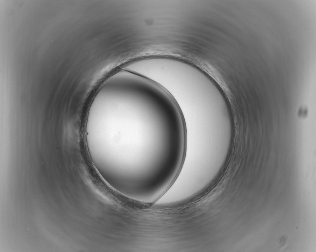 X0000092040530200709121007
