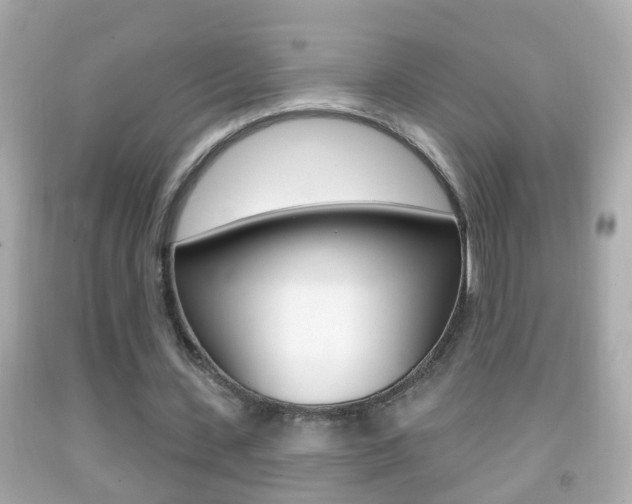 X0000092040531200709121007