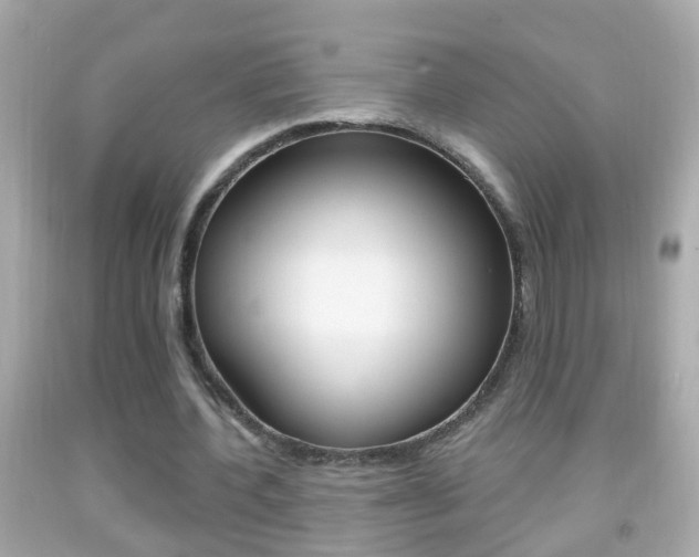 X0000092040532200709121007